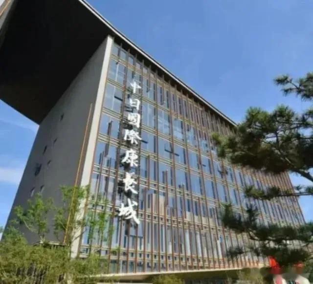“这是在打所有中国人的脸！”日本人竟然在中国修建起“康养城”。山东的康养公司被查