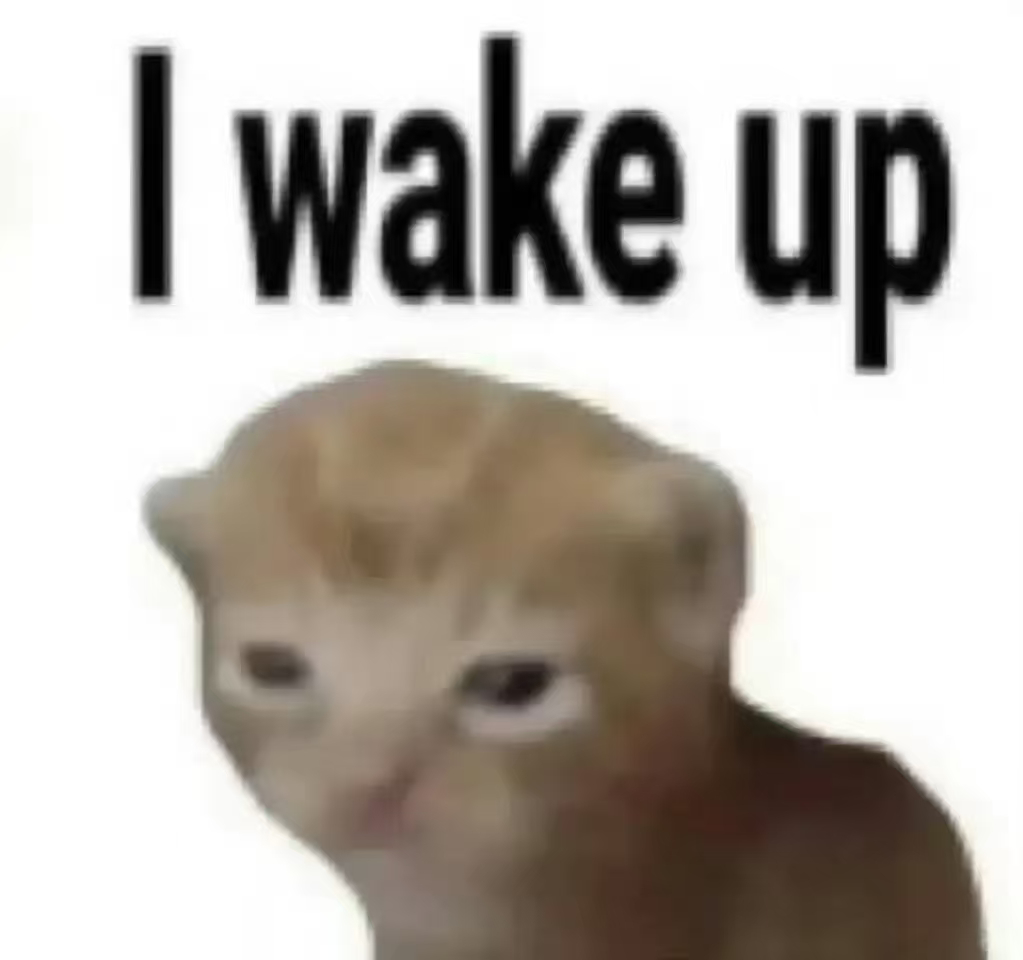 我这不是熬夜我这叫错峰睡觉 ​​​