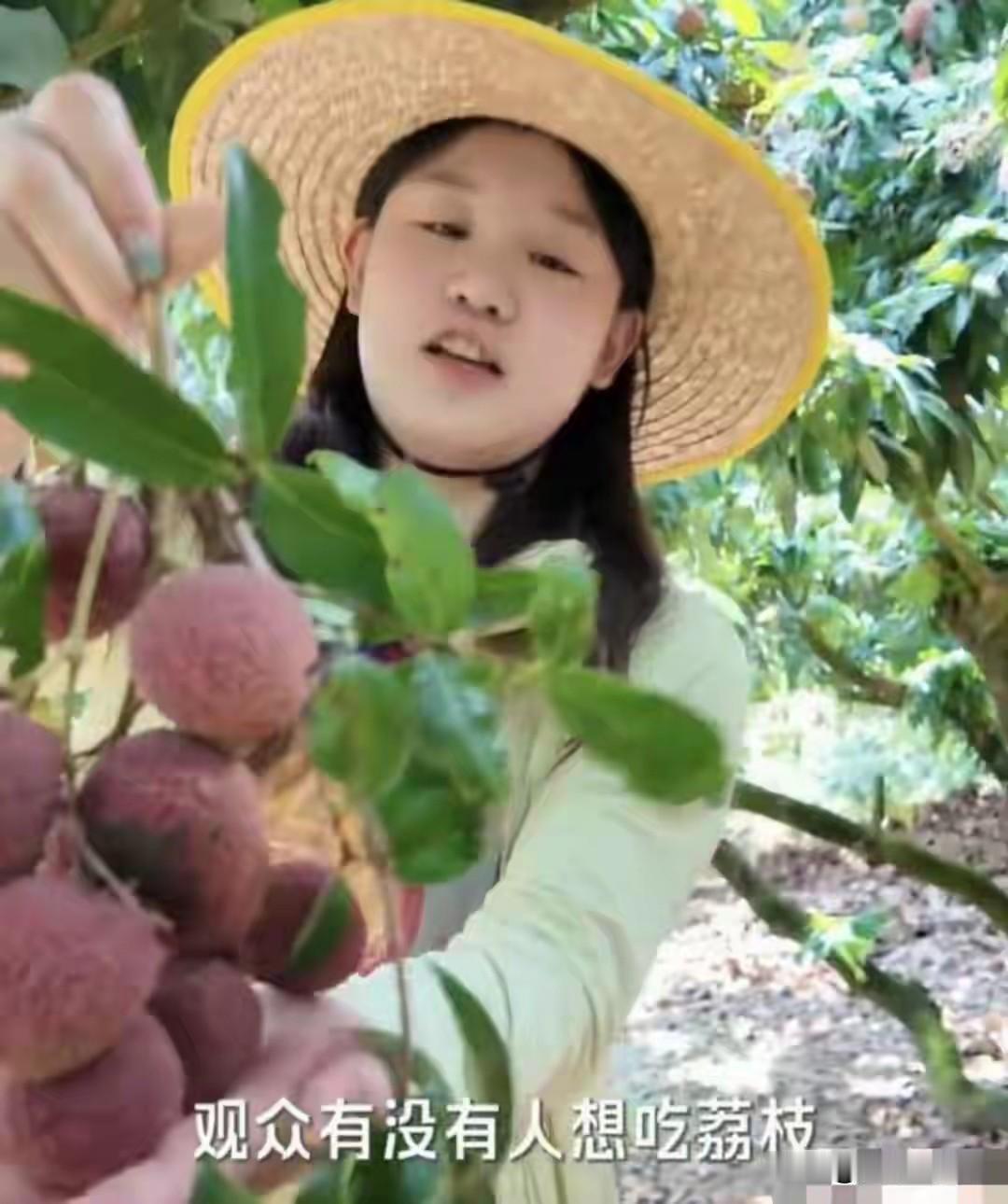 跳水冠军张家齐去同行师妹全红婵家，与全红婵的哥哥全进华，去荔枝园采摘荔枝。视频发