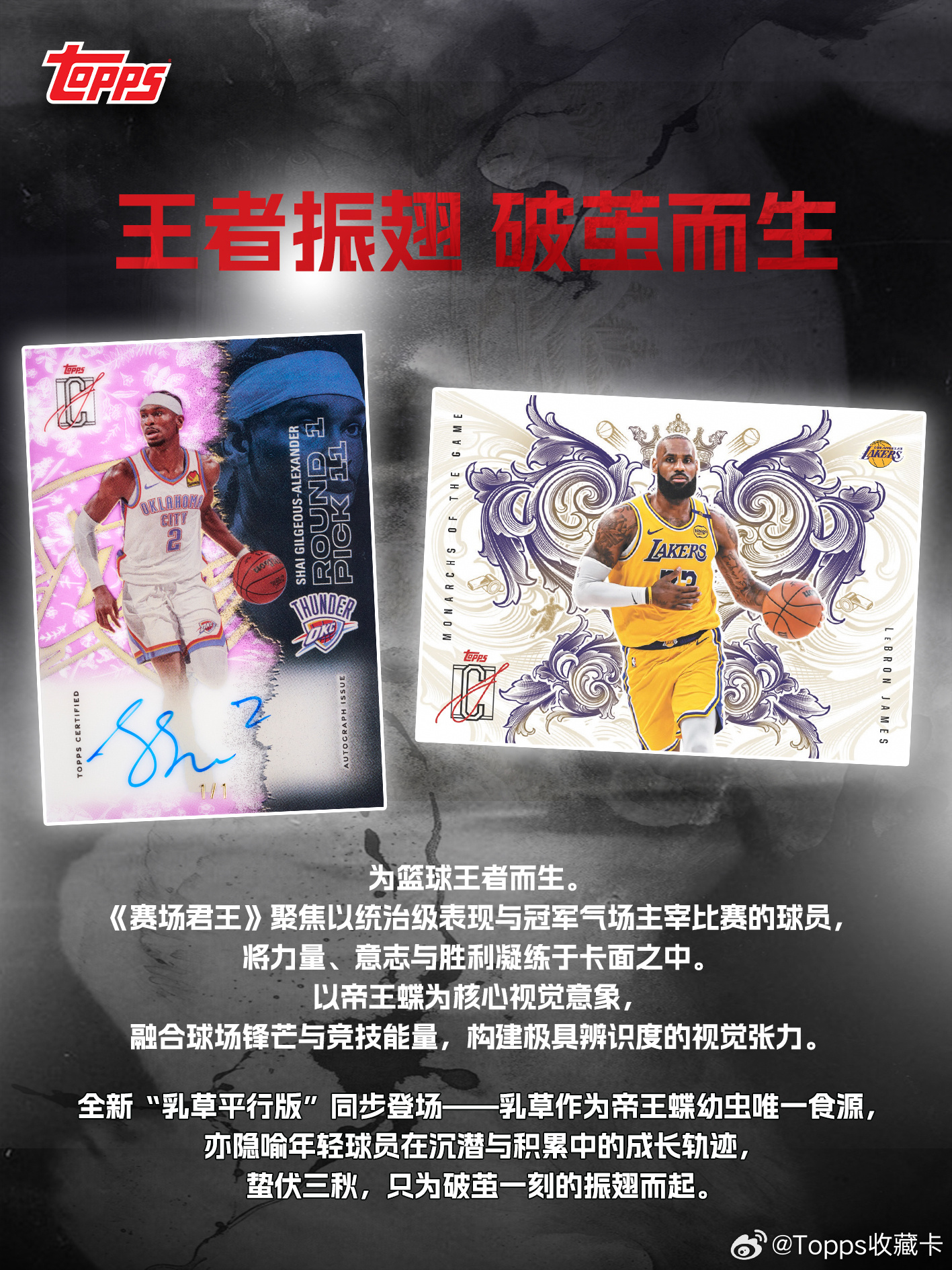 签名落墨，时代封存 ✍️🔥2025 Topps Signature Class