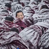 小芹聚聚体育