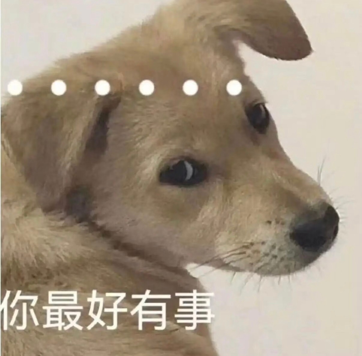 从来没想过互移两个字会让人这么破防[旺柴] ​​​