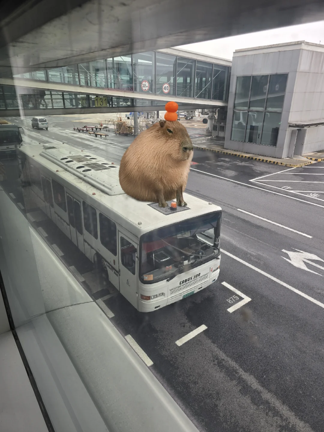 南京禄口机场的老家伙COBUS300摆渡车