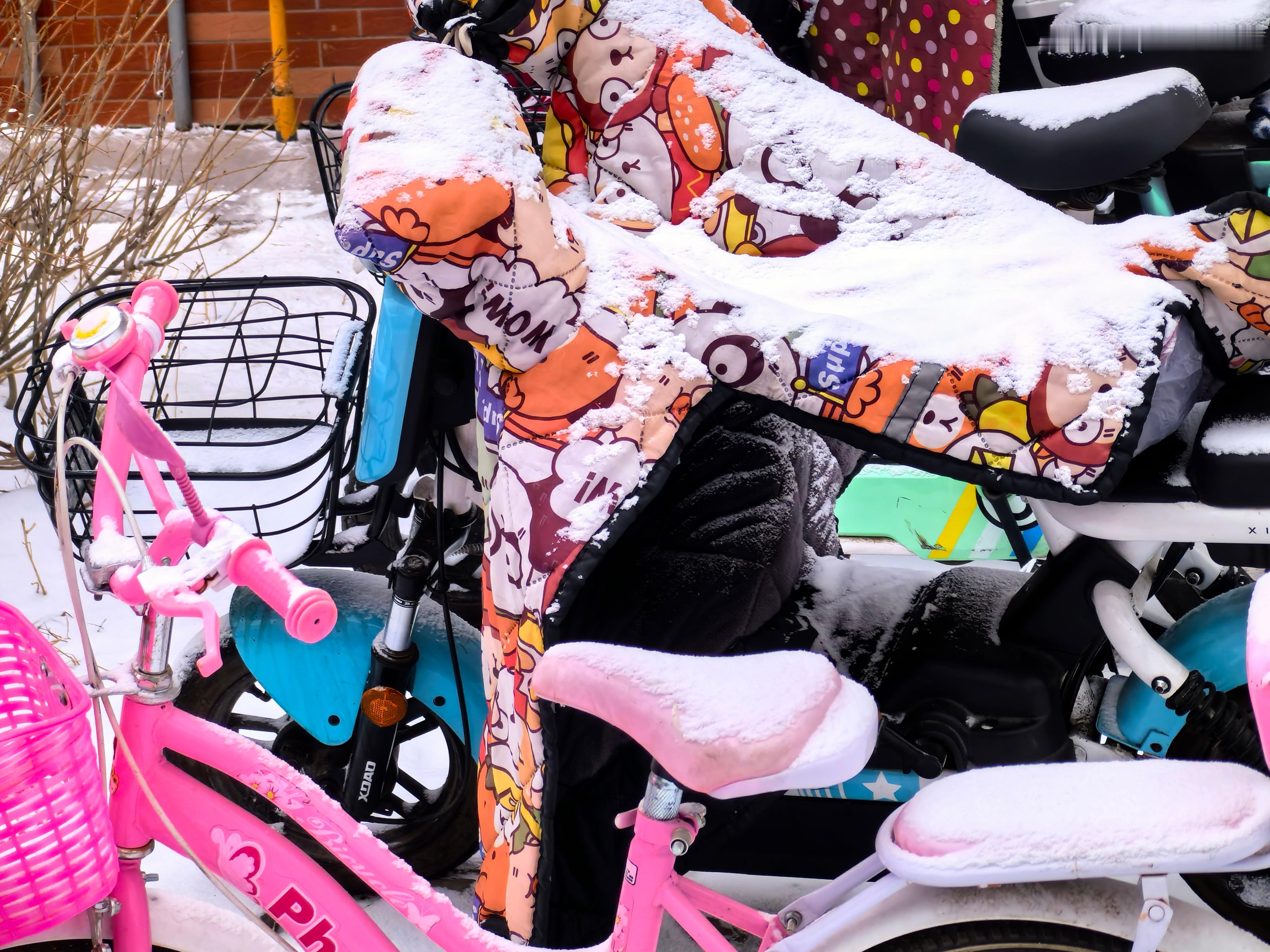 印象中从小到大，就没下过几次像样的大雪。​前两天遮天蔽日的沙尘暴犹如末日景象，今