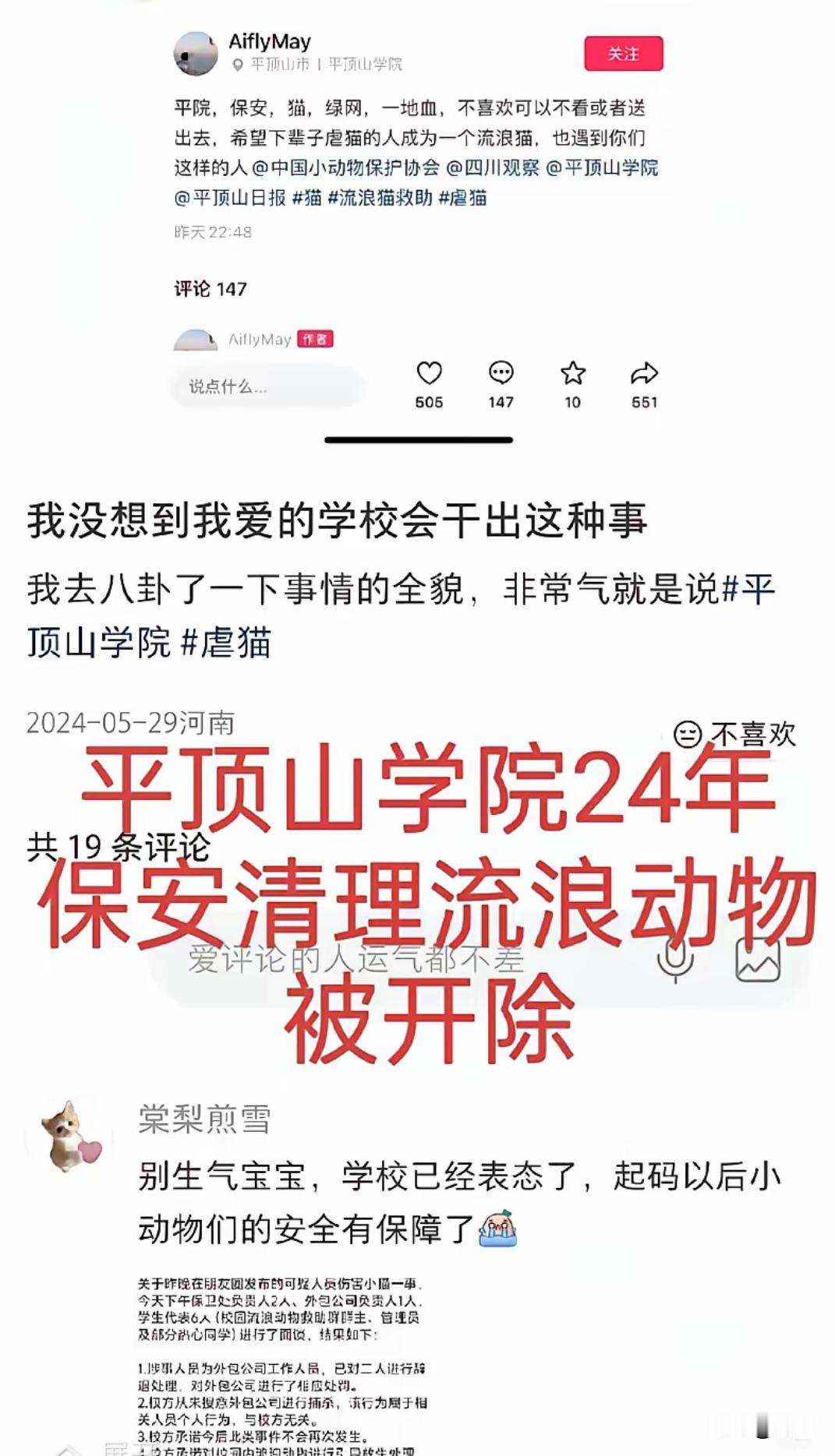 前人砍树，后人遭殃。
2024年，平顶山学院因为猫抓伤了学生，学校要求保安清理流