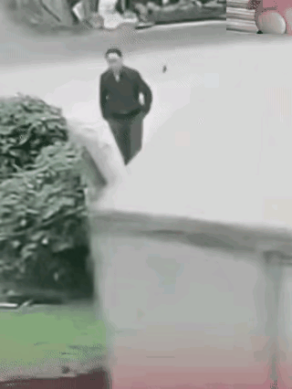我就想知道，这是谁的责任