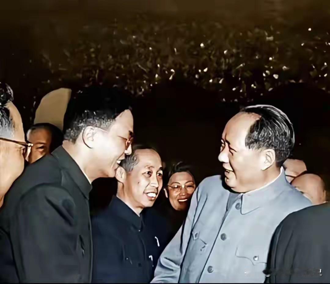 1956年，毛主席亲切接见数学家华罗庚。灯光下，二人相谈甚欢，笑意融融。
彼时新