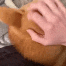 1:00🍑播这期哈 ​​​