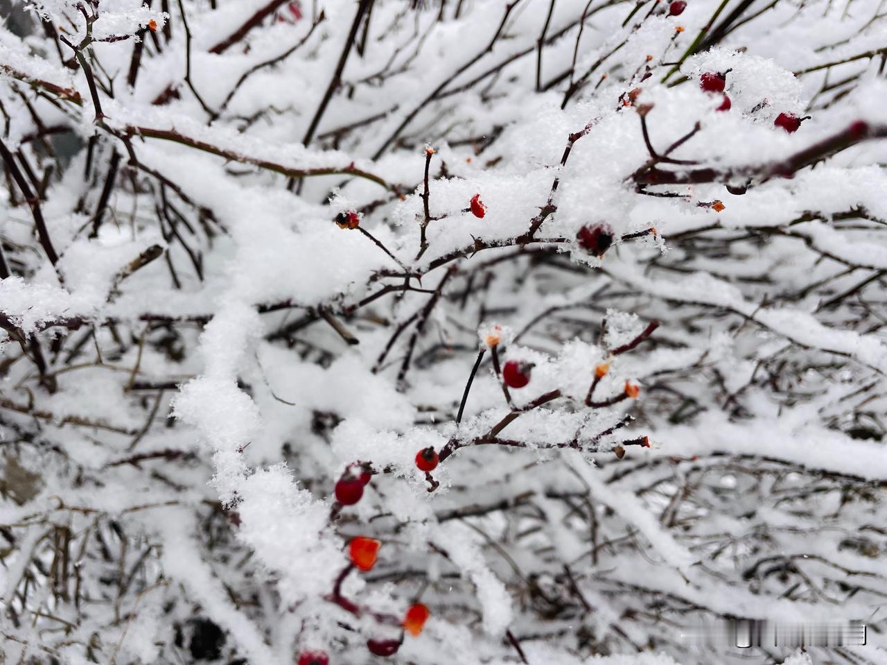 12月13日，山东沂水天上王城景区迎来今年入冬后的首场降雪。一场不期而遇的初雪，