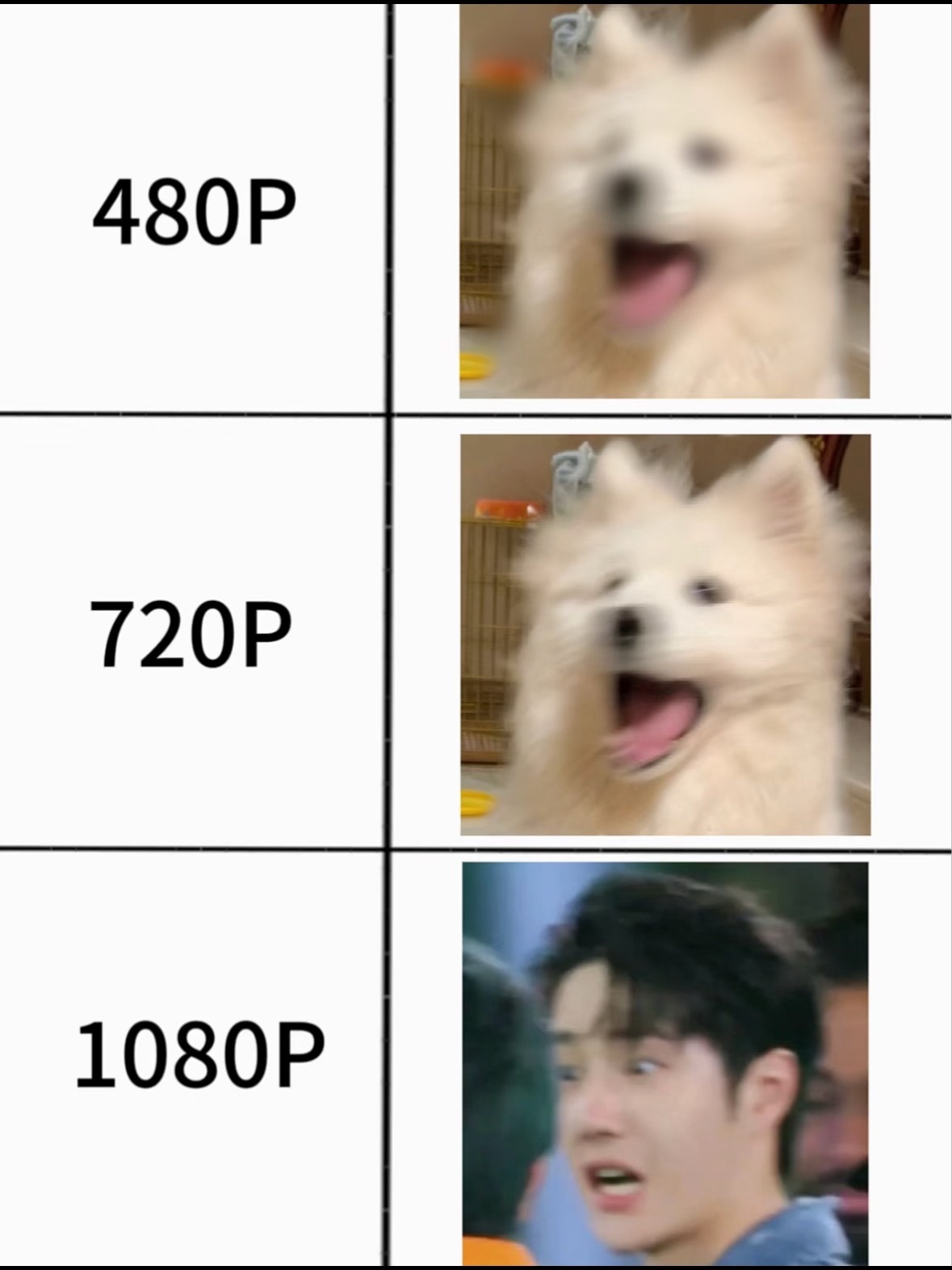 已被萌晕 