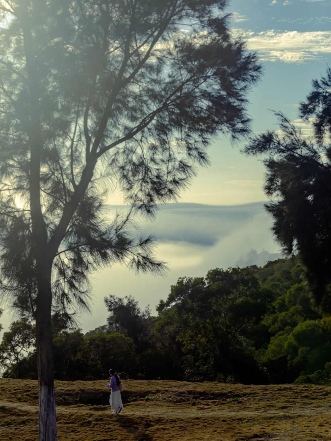 3.2好像在南澳岛闯入了仙境！