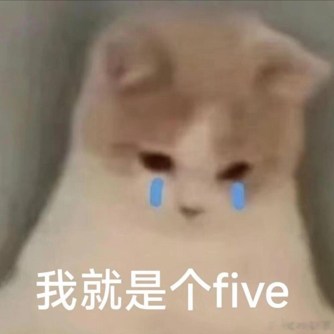 猫咪表情包。 