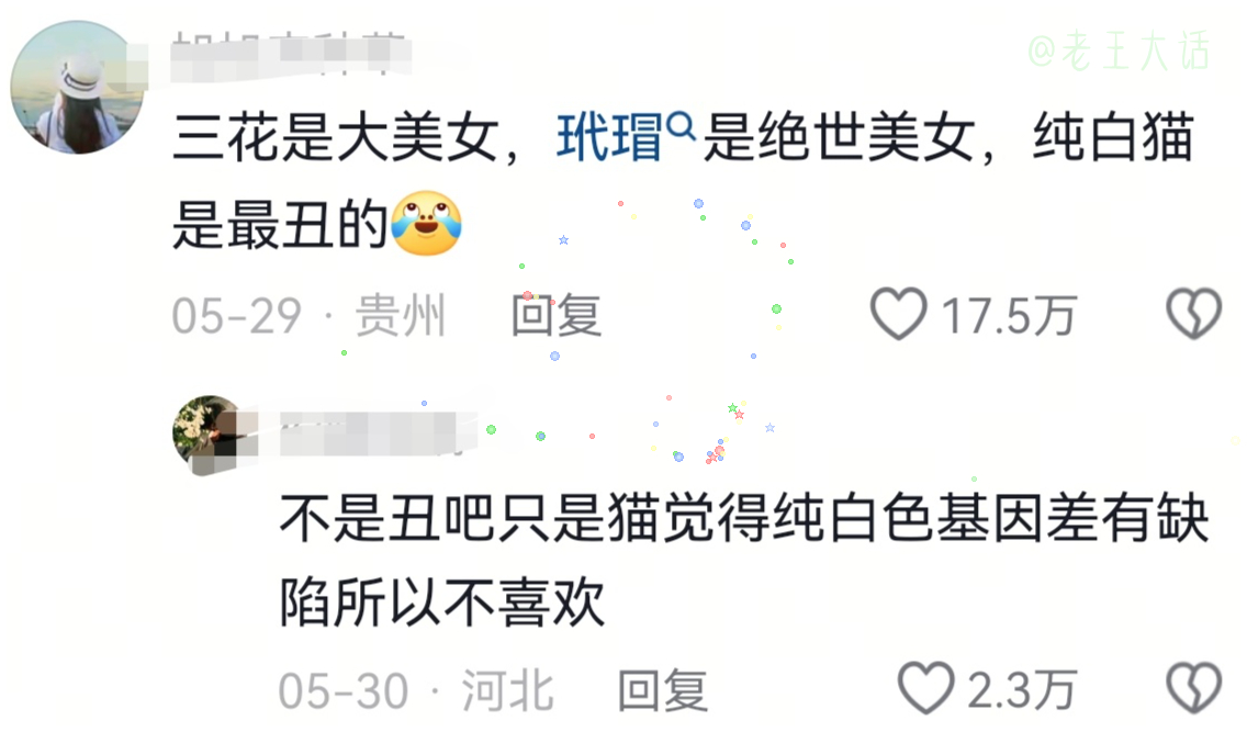 恶语伤喵心 