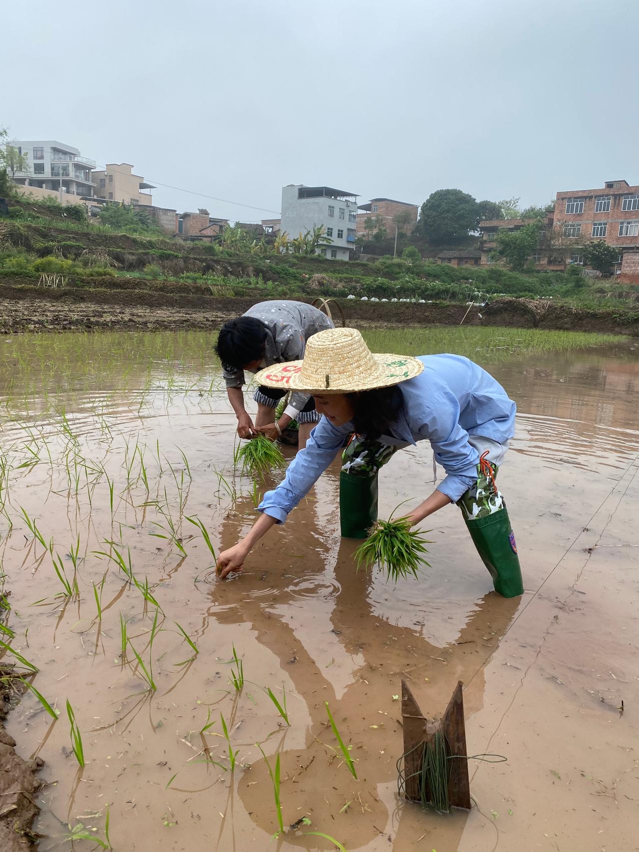 “你是挺干净的，既没有恋爱的酸臭，也没有金钱的铜臭。”

“你这是典型的吃肉的时