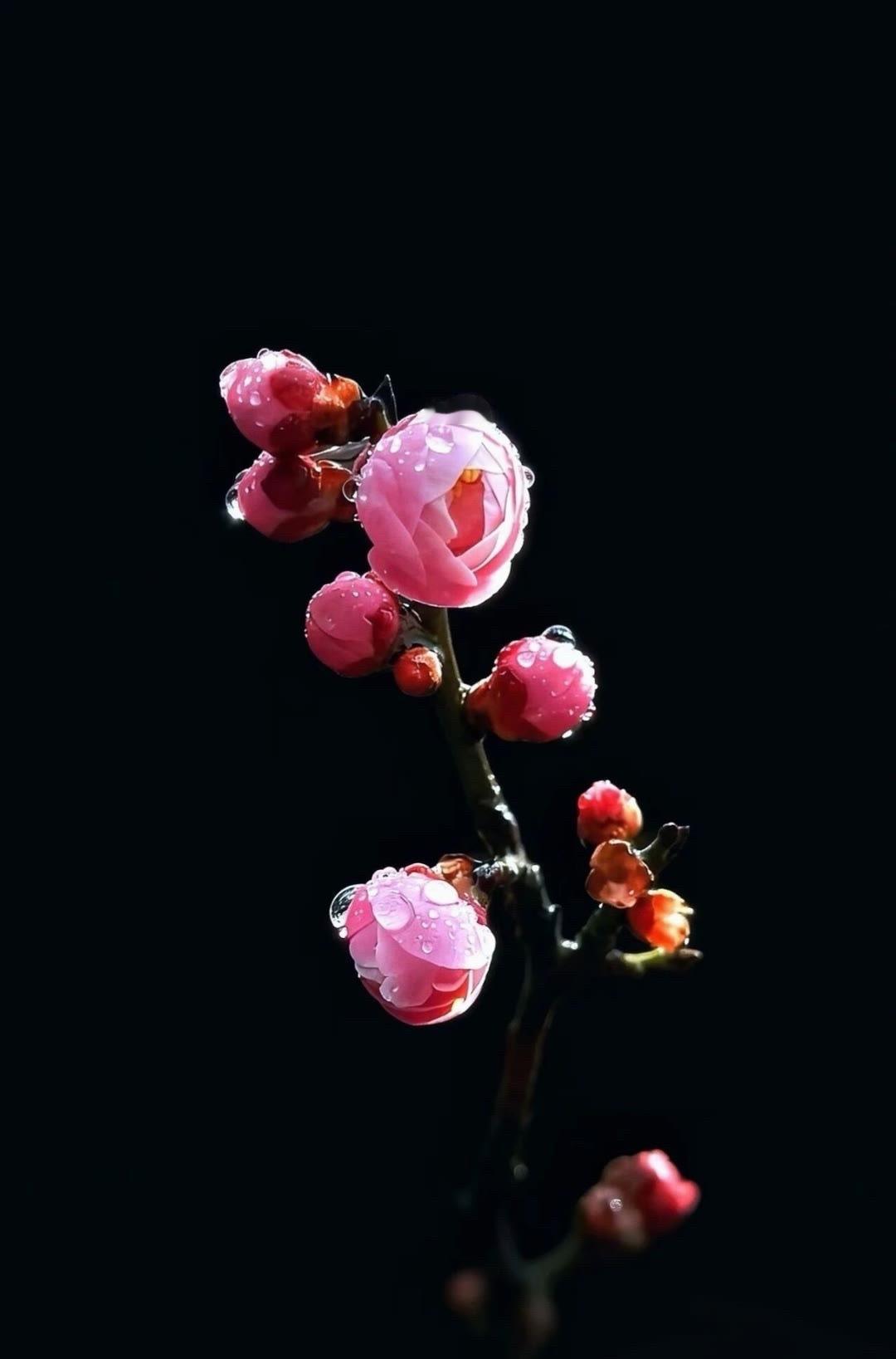 纳指不用折腾，拿着就好，中韩半导体可以做做差价。其它的就不要碰了，美股最近也是一