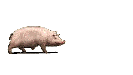 捡到一张图，好实用～