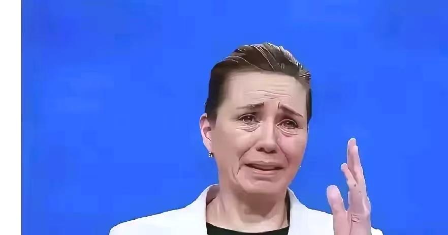 弗雷泽里克森的天都要塌了，一夜之间，援助的欧洲大军少了接近一半。

德国派了15