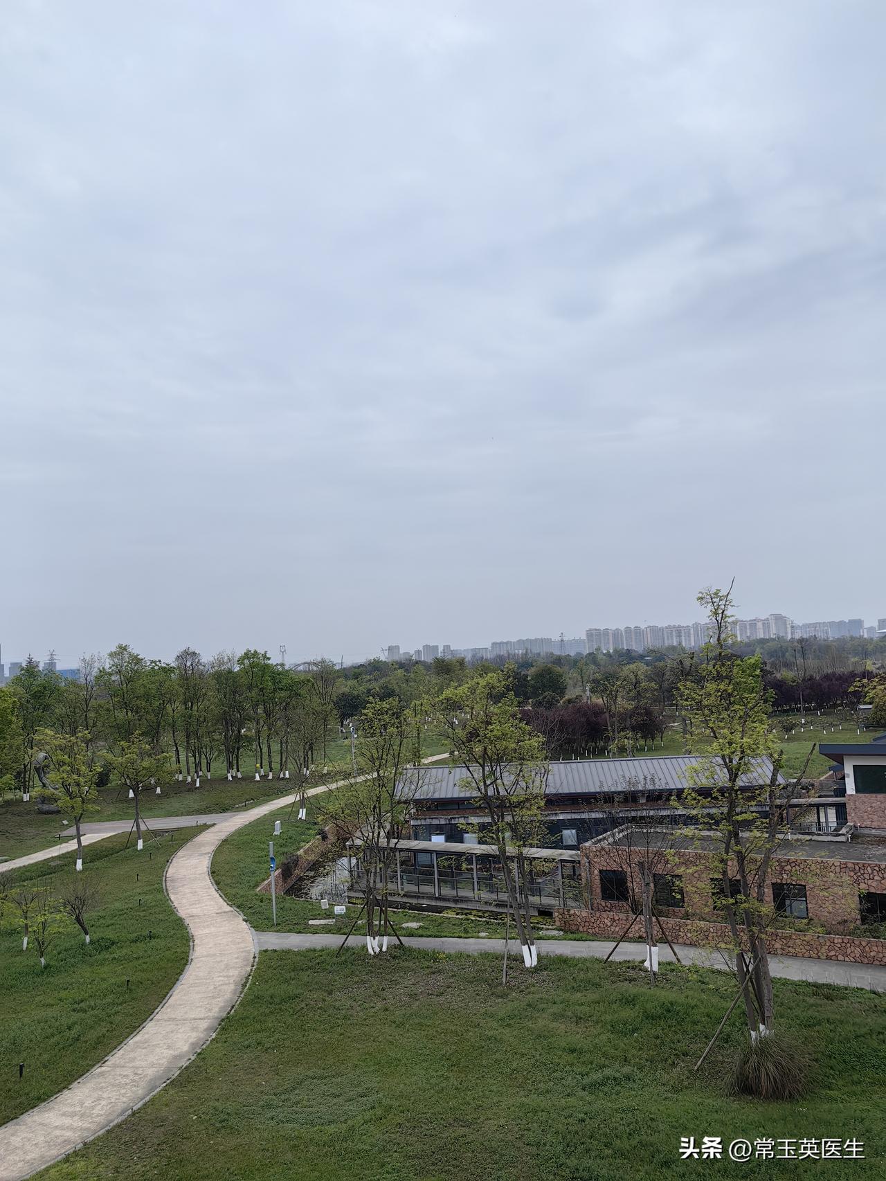 花开雅苑春风暖
柳绿静林鸟鸣情