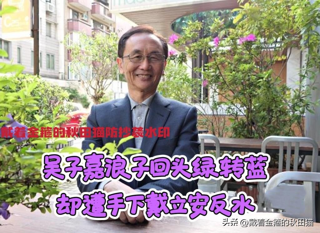吴子嘉浪子回头绿转蓝，却遭手下戴立安反水，如今不惧拆台、霸气回应：美丽岛民调一天
