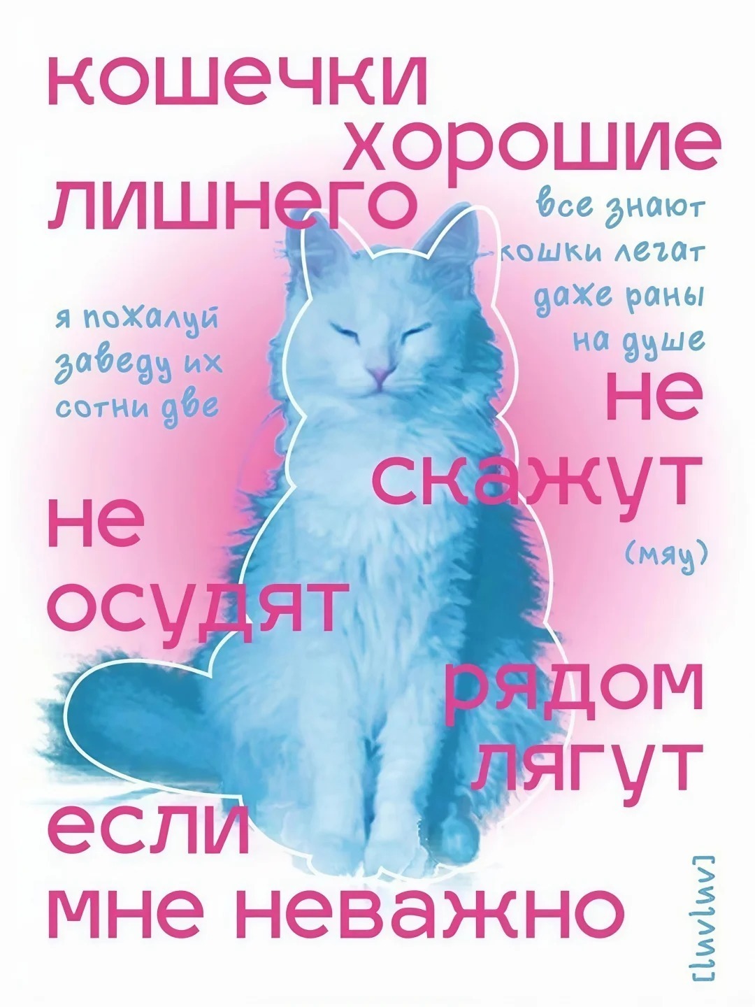 灵感的诞生 猫咪海报 