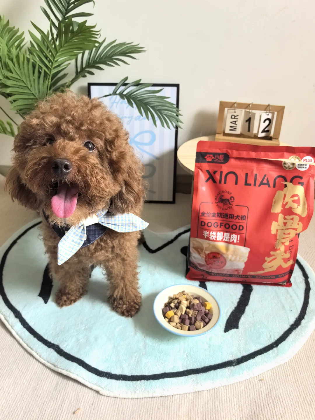 给豆丁换了新狗粮啦～