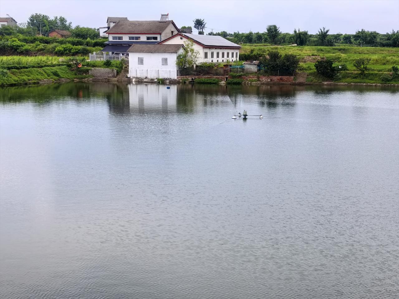 湖北宜昌夷陵区鸦鹊岭镇的这个农家小院，门口有12亩鱼塘，鱼塘边就是新扩建的柏油路