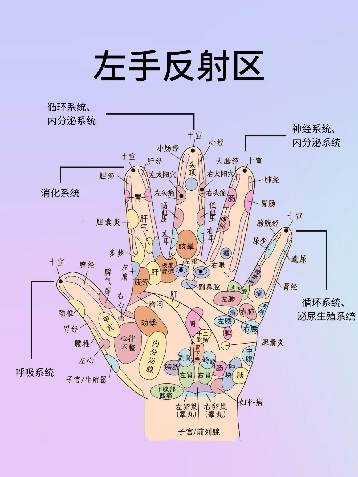 身心同调-身（手篇）哪里痛通哪里！疏通顺序与区域：顺序：从手掌根部到指尖，从手背