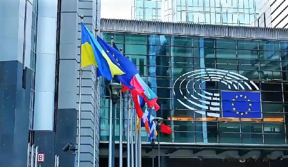 12月24日下午的最新消息，速报，全都不容错过，第三条： 法国或推动欧盟回应中方