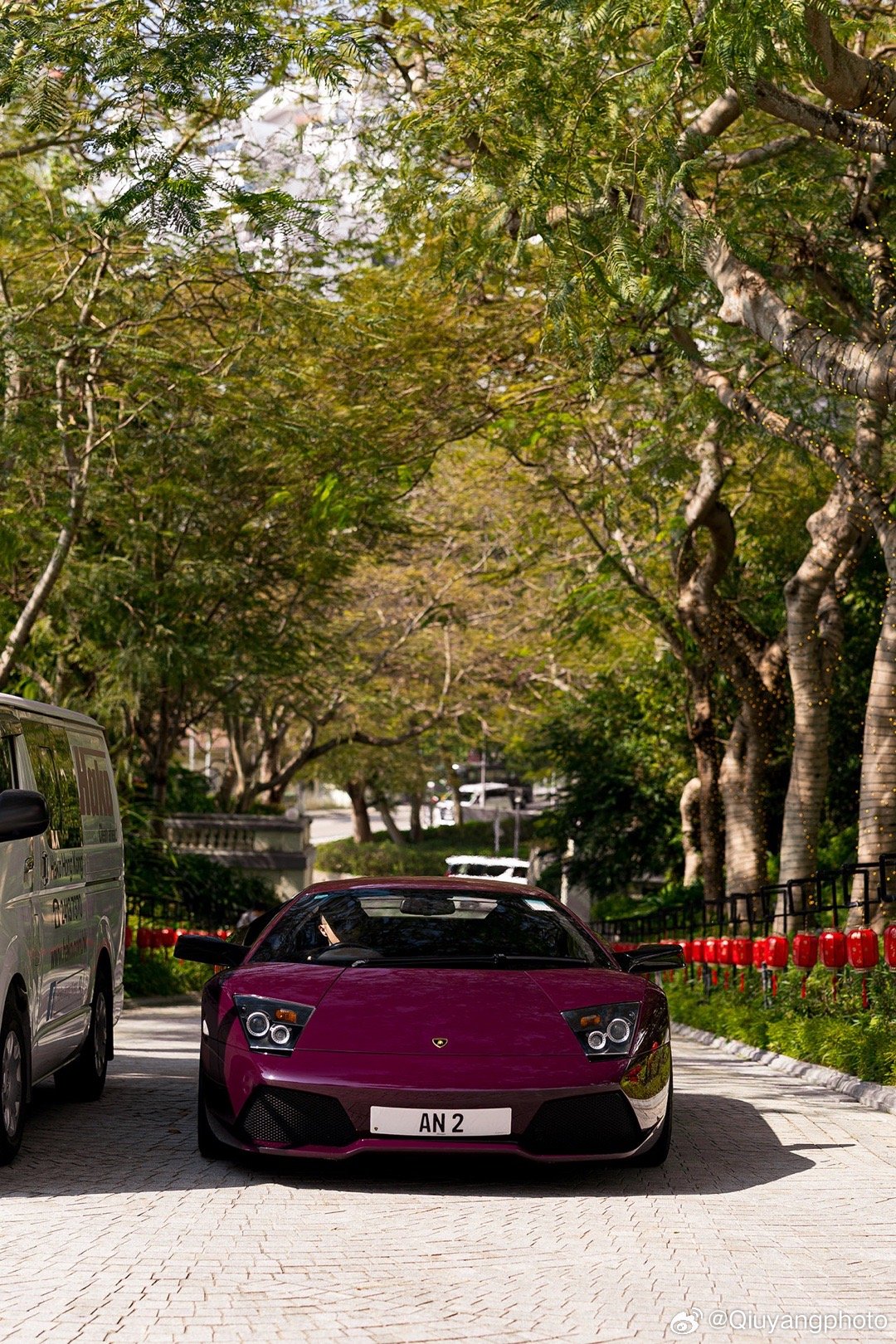 Viola Ophelia Lamborghini Murcielago LP6