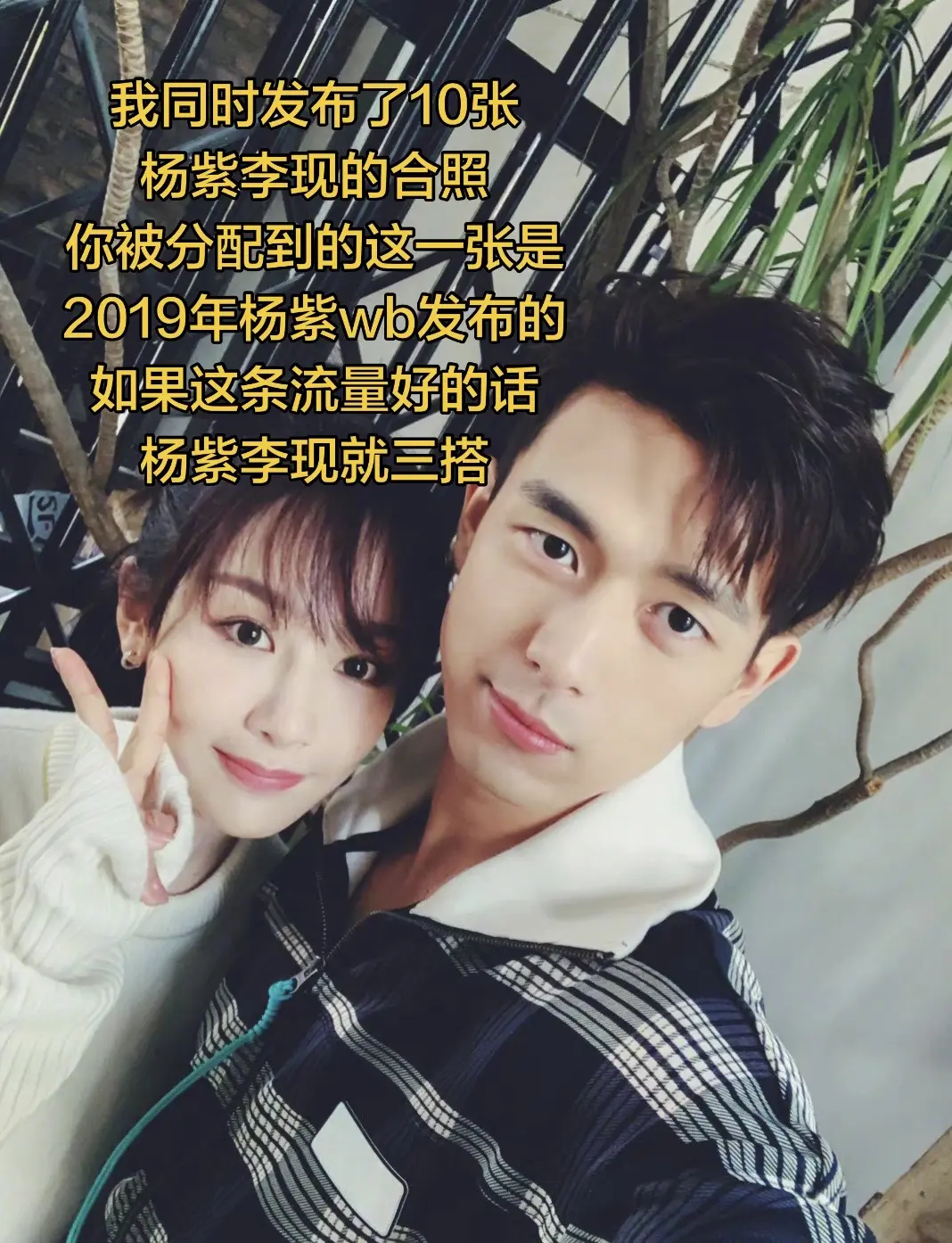 热播电视剧  杨紫李现  亲爱的热爱的 杨紫 李现