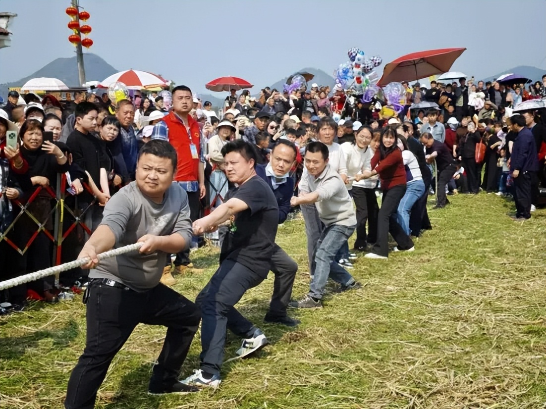 三堂街 “赏花经济”正当时