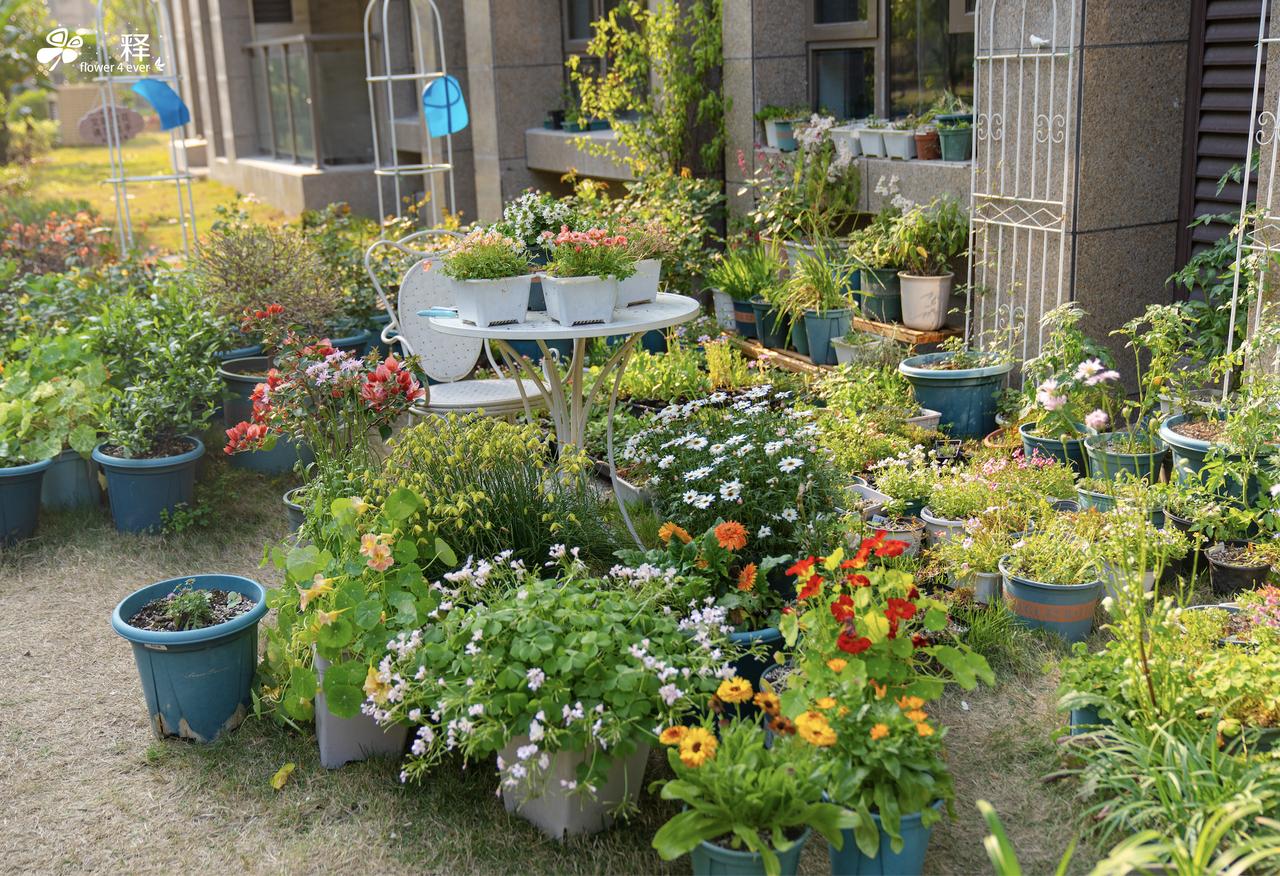 我这种看似杂乱的是养花人的花园，而大部分整齐划一的，是不会养花的人的公园，大家有