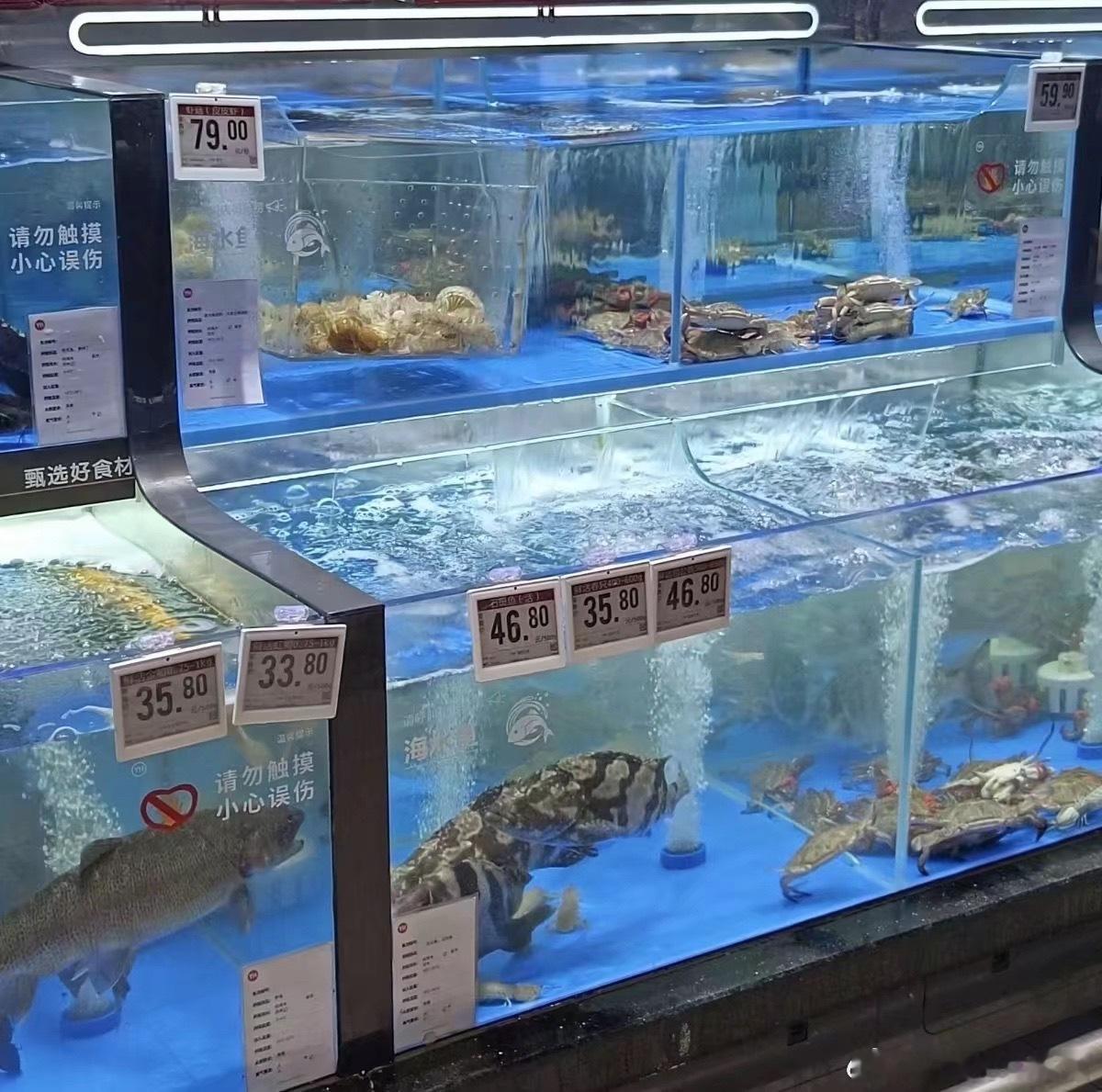 你失约的海洋馆我替你去了，我这个海洋馆偏商务一点 