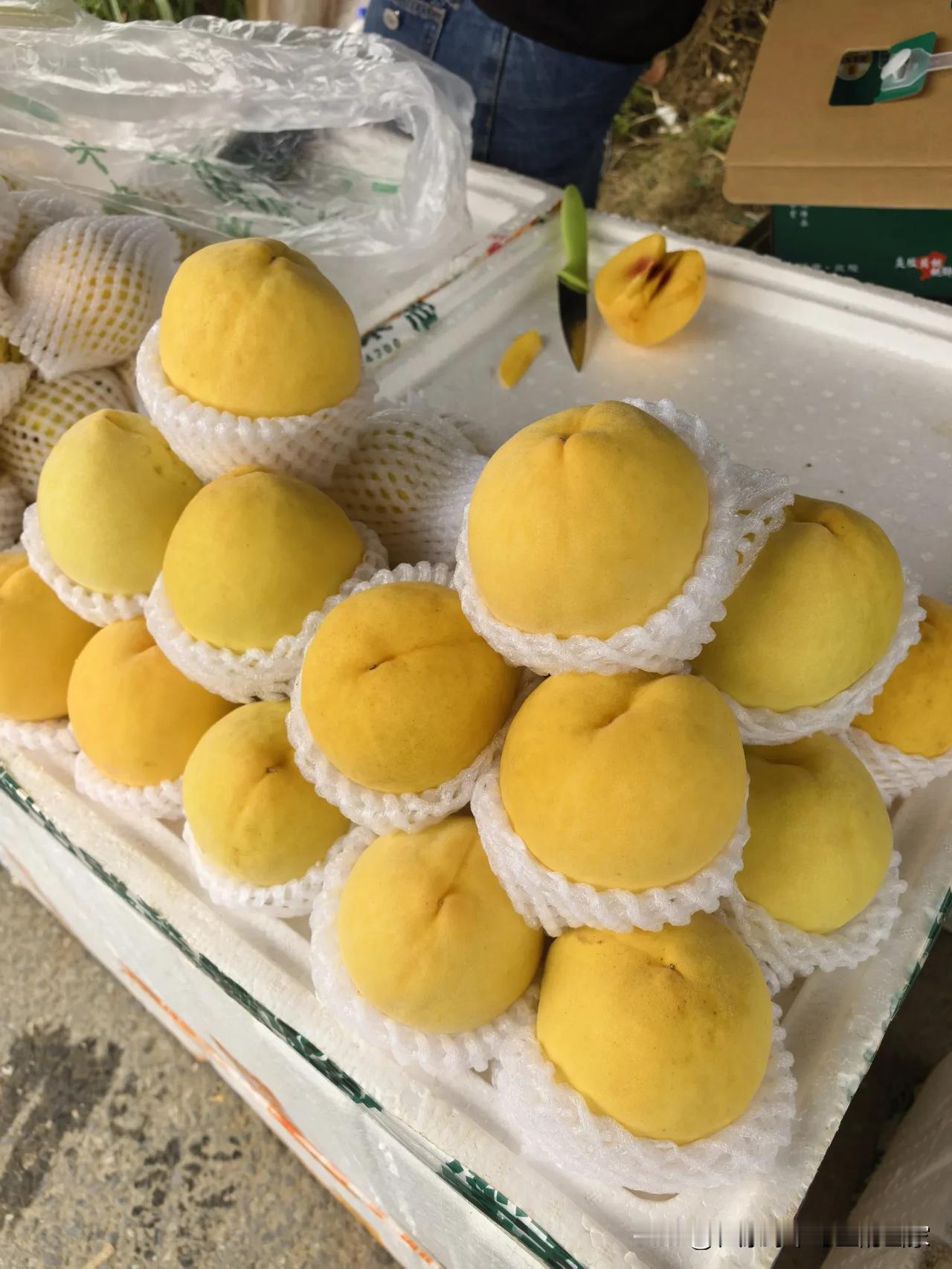 炎陵黄桃