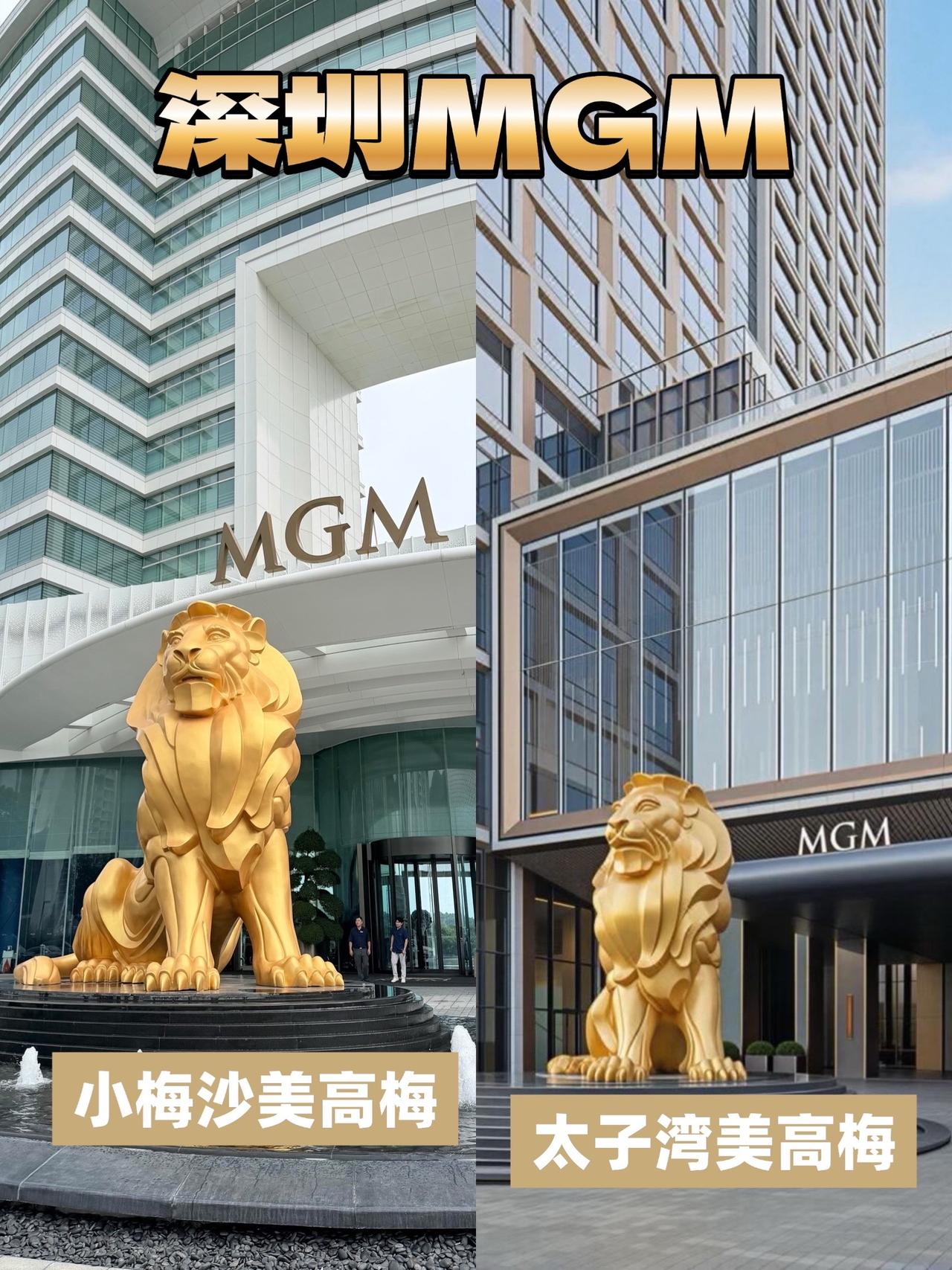 深圳2家美高梅，选哪家？截止到2026年8月，
深圳建了2家美高梅酒店，
一个在