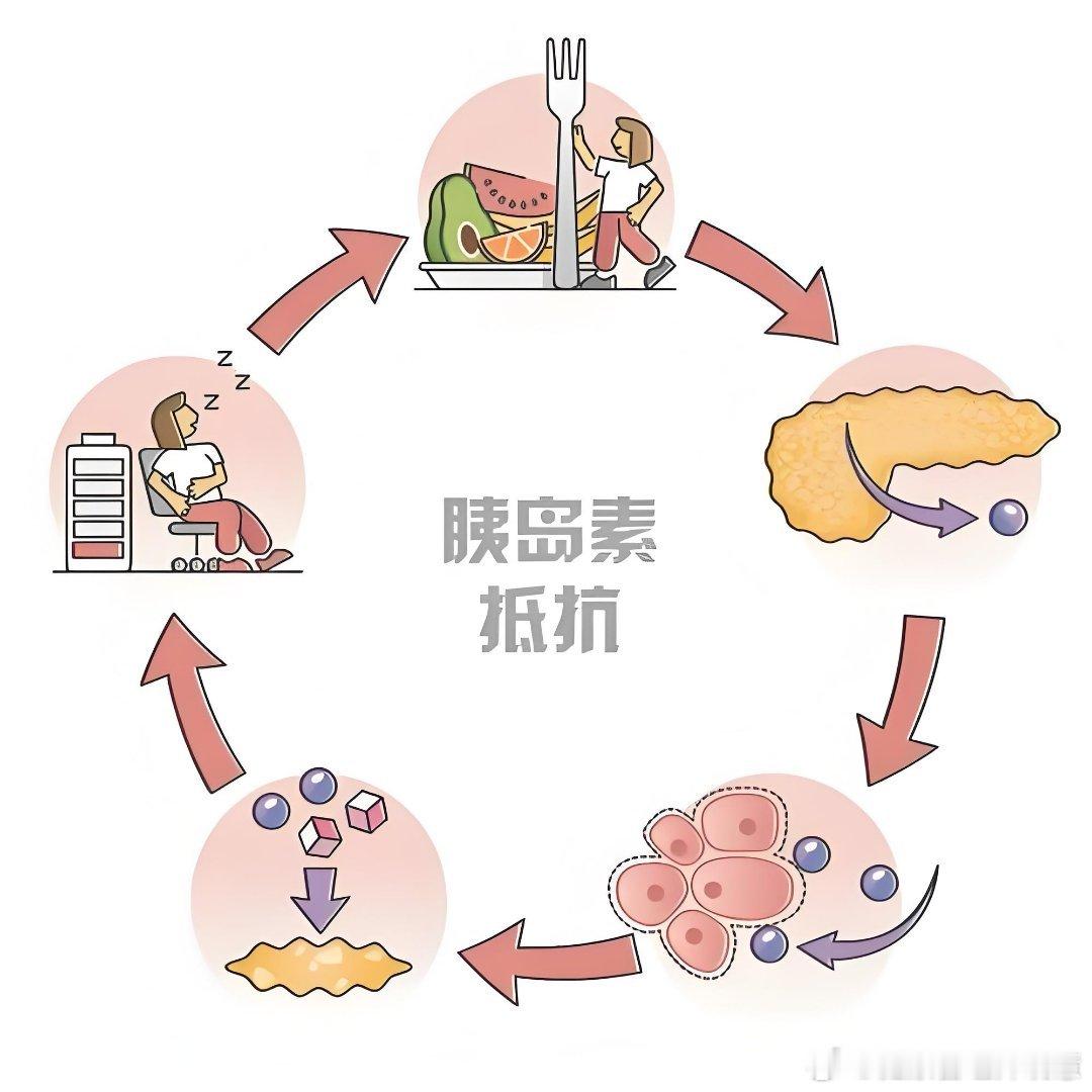 #胰岛素抵抗能逆转吗##健闻登顶计划#胰岛素抵抗，饮食一定要从这几个方面入手:1