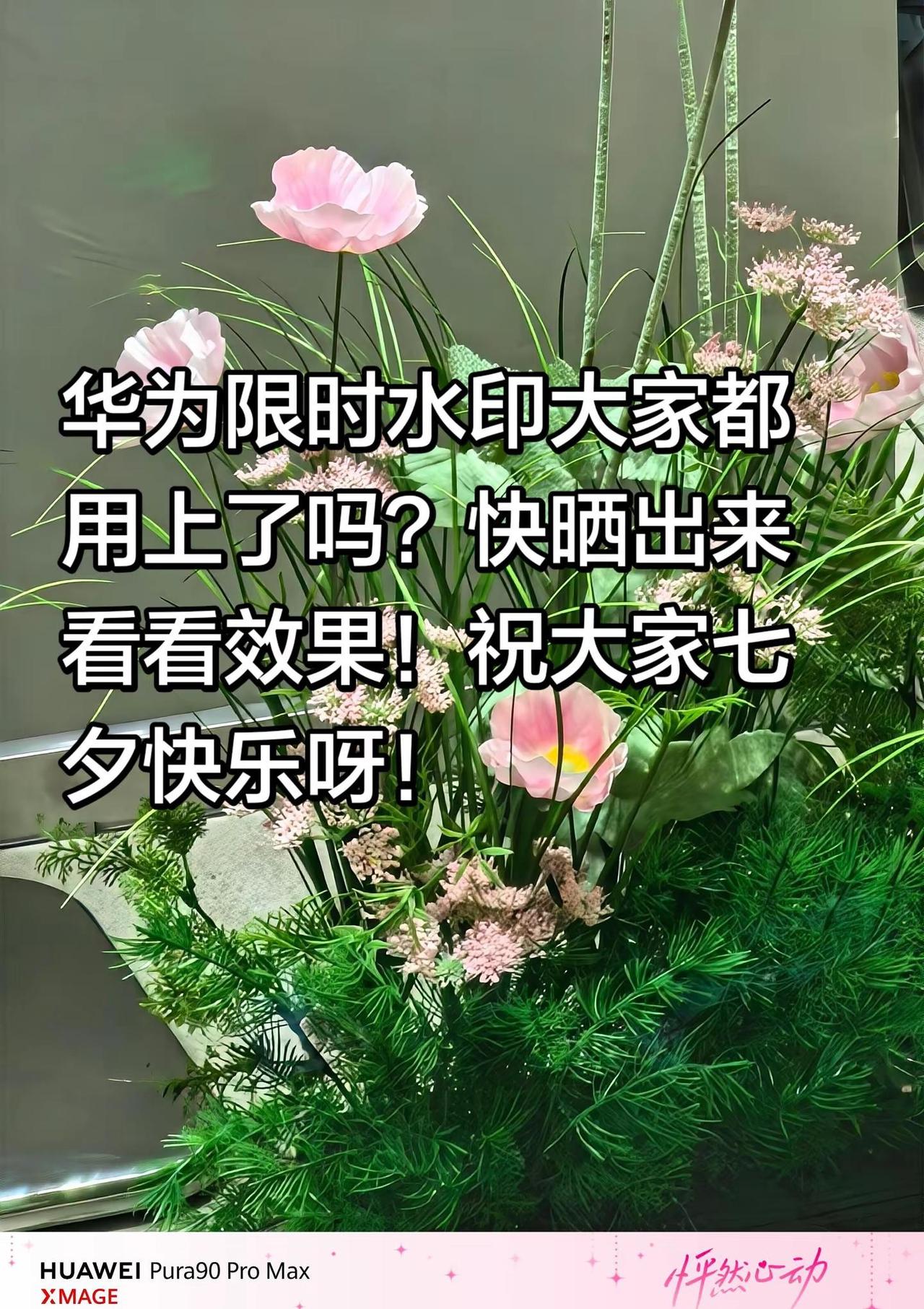 想看看大家七夕拍的充满爱意的照片，求分享～华为Pura90 此刻就出发 华为的浪