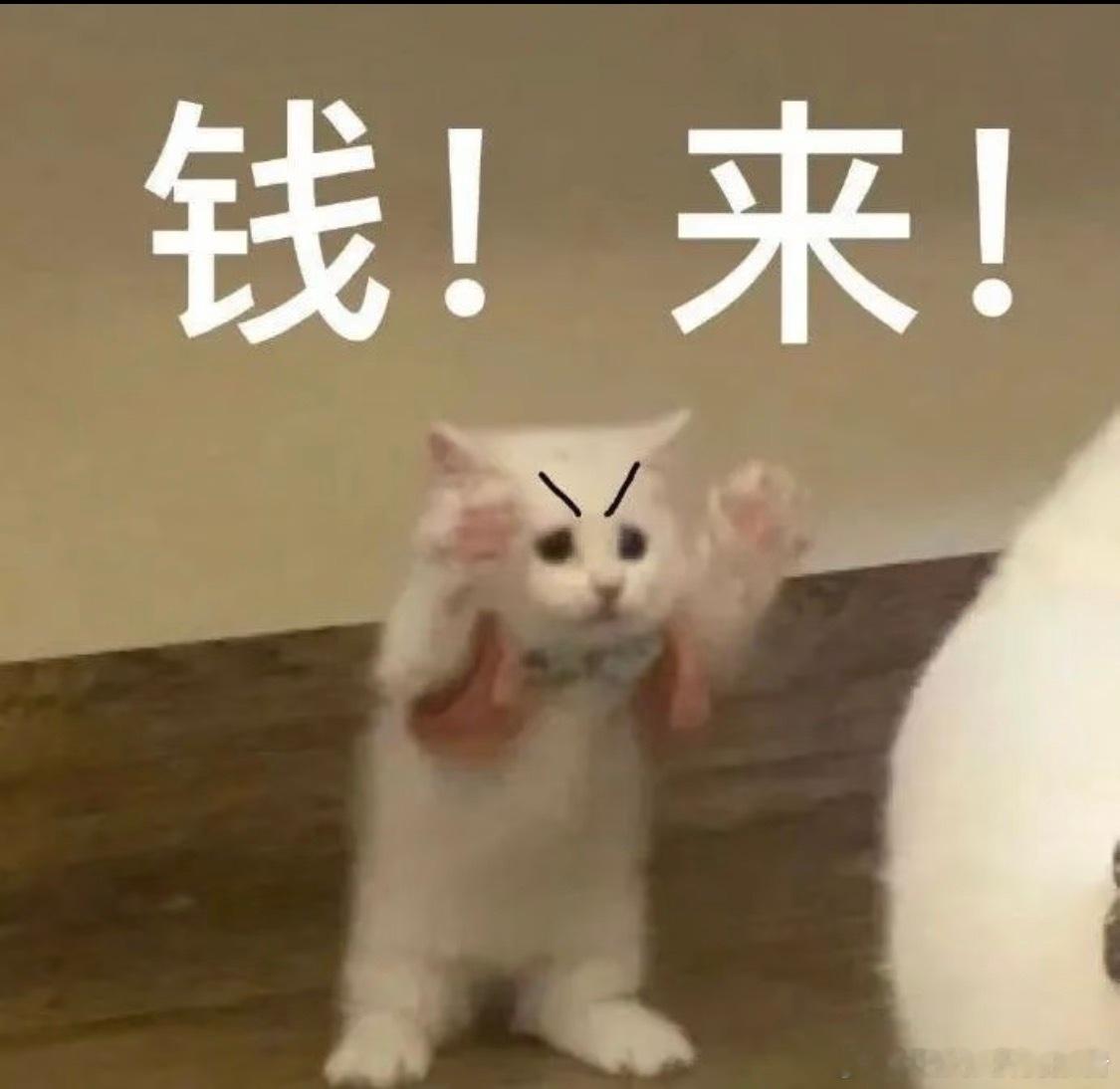 员工中了1500万彩票后直接离职这种事我想都不敢想，刮刮乐我最多中过200块你们