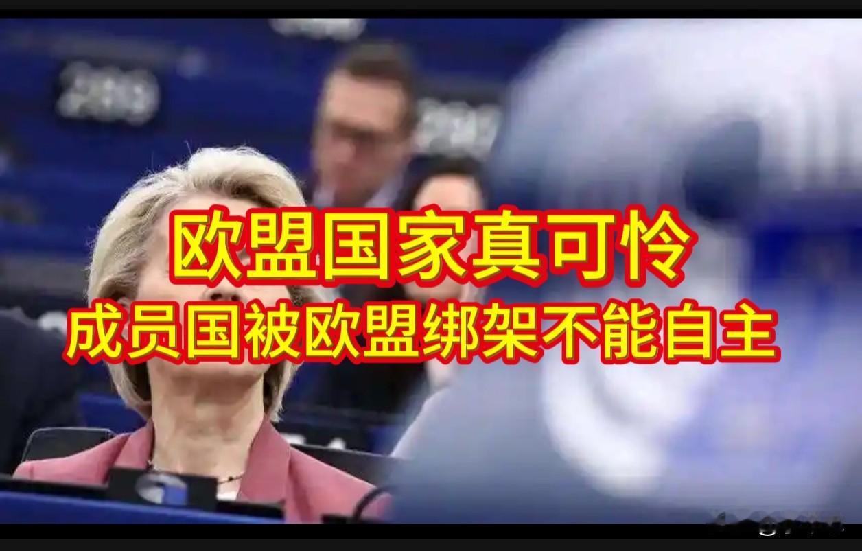欧盟成员国丧失自主的“肌无力症”，单个成员国其实挺可怜。

法国总统马克龙在索邦