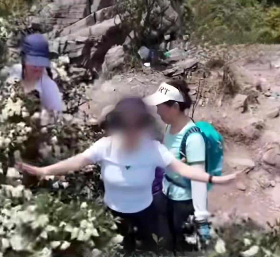 近日，广东韶关曲江区茶岩顶 ，正值当地猴头杜鹃盛花期。为拍网红视频博流量，4名游