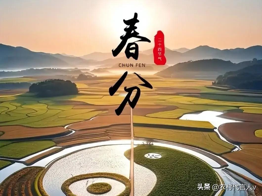 今日春分，无论多忙，记得白天3禁忌，晚上2注意，别忘告诉家人。
 
“春分昼夜平