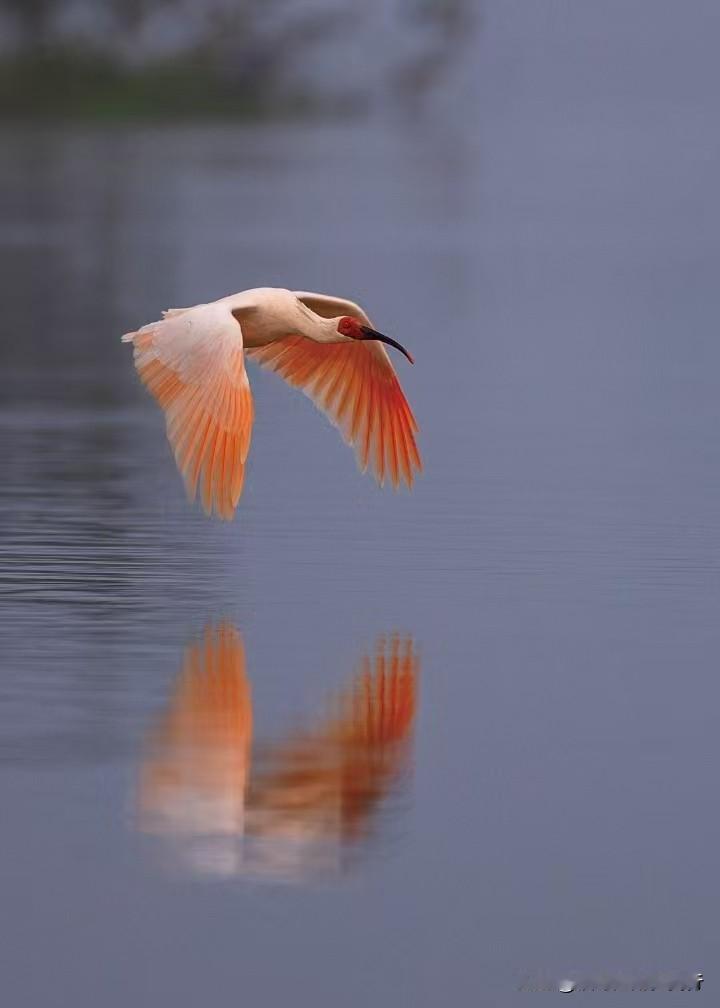 落叶成冬，时光带着惊喜，与暮秋插肩而过，优雅而坦然的，等一场山雾与雪的相逢……
