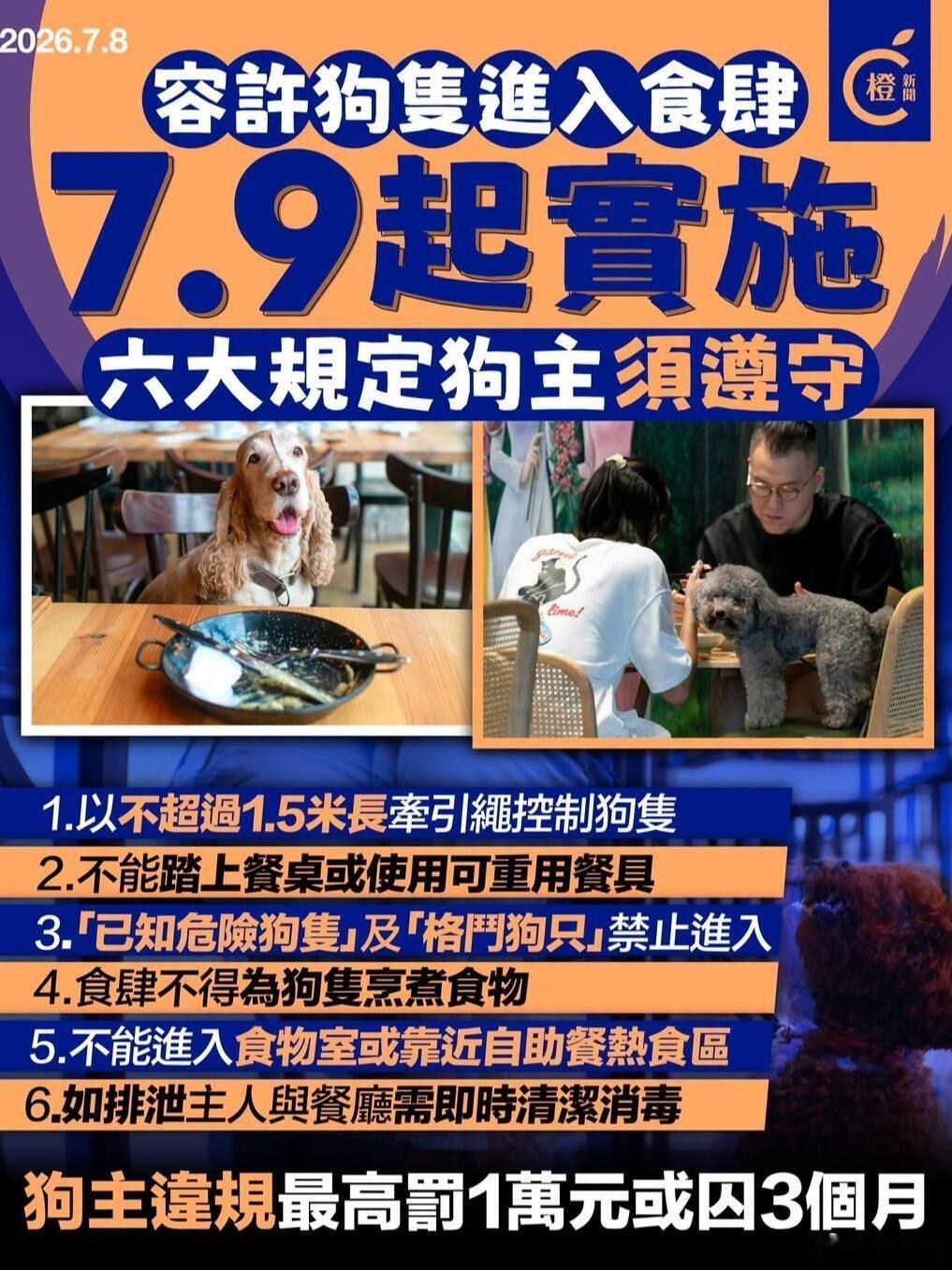 香港宠物友好餐厅规定来了！！截止目前已经有938家餐厅完成了牌照手续，可以合法合