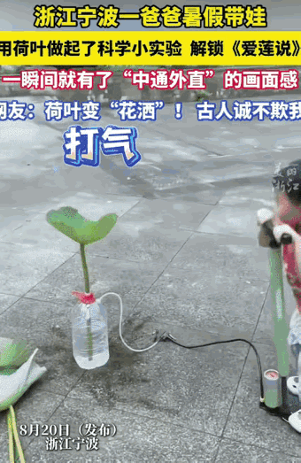 古人诚不欺我！男子从荷塘里带回的荷叶，摇身一变，就成了天然花洒。浙江宁波这位爸爸