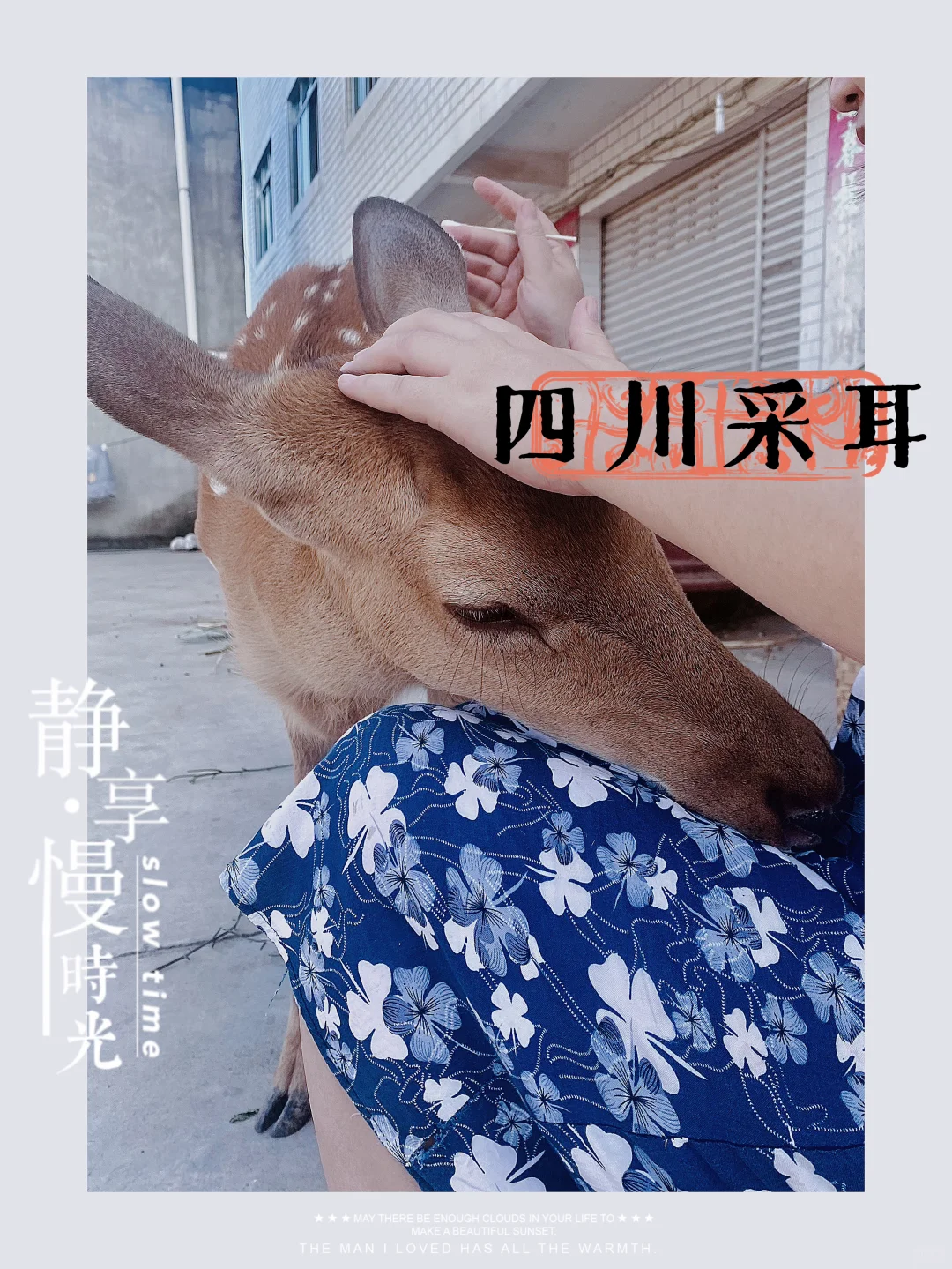 一头懂四川生活的鹿| 采耳