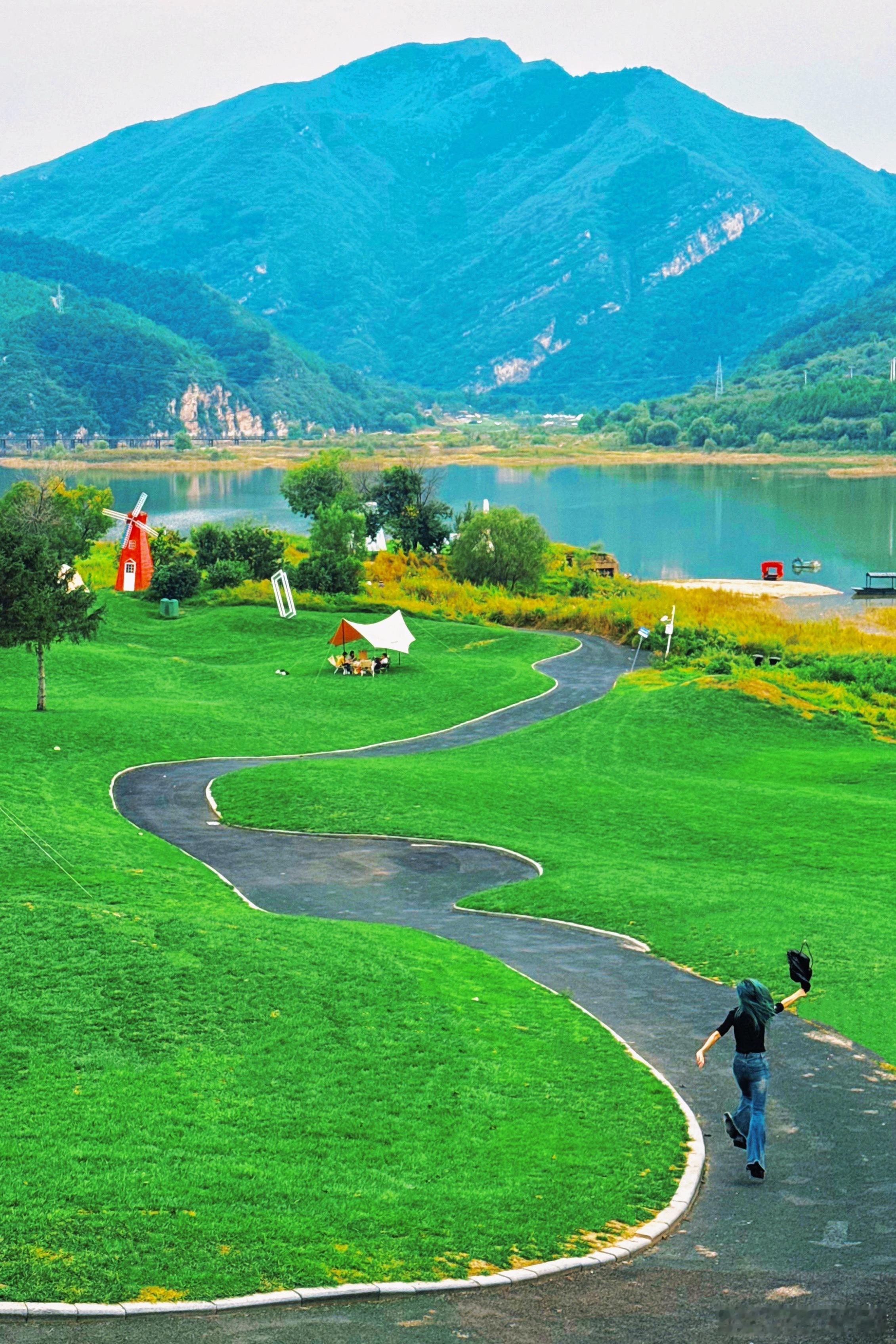 大自然基础 灵长类就不基础我们这种野兽的恶趣味就是在别人精心布景好婚纱照准备拍的