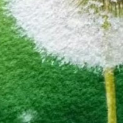 阳光信用 中国的命运与世界的命运紧密相关，我们要把弘扬爱国主义精神与扩大对外开放