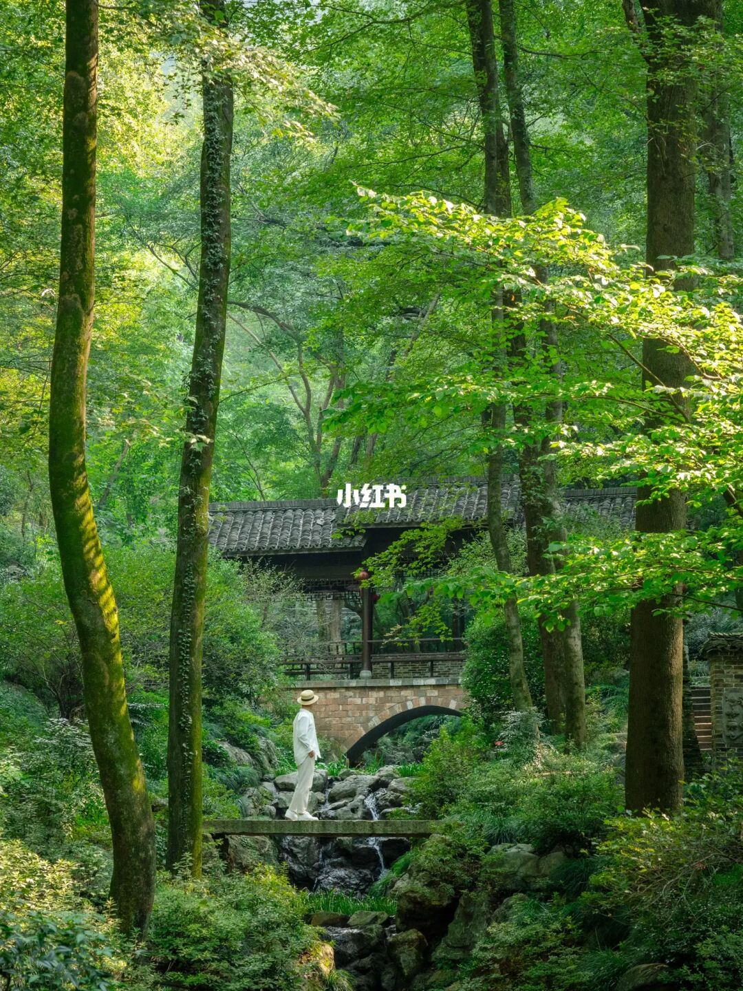 后悔才来，我在安徽发现的宝藏小镇‼️