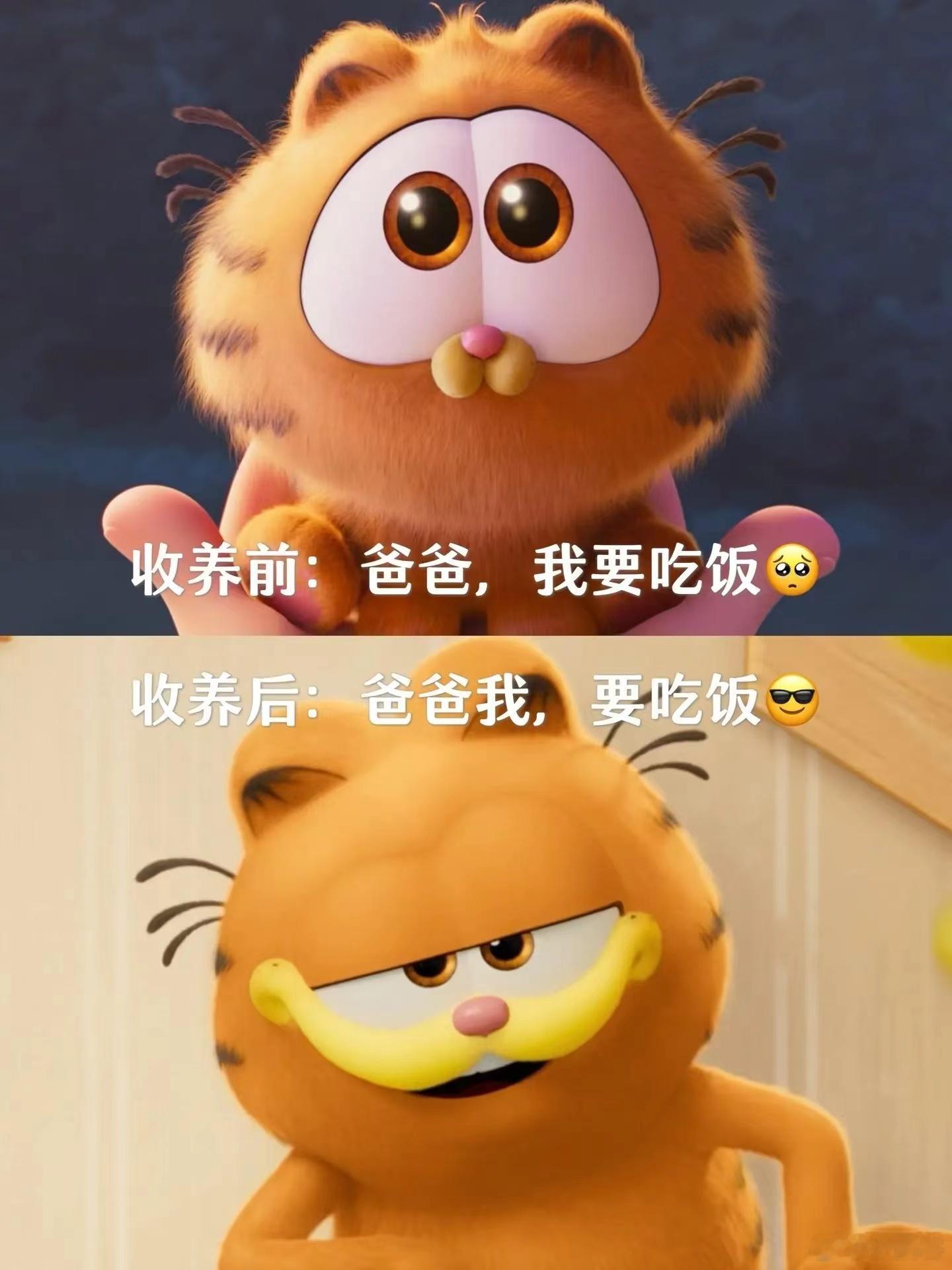 #加菲猫 内耗不了一点# 加菲猫简直就是我的精神导师，每次看它都能让我忘记烦恼。