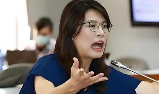 综合台媒报道，随着今日国民党主席郑丽文今天的明确表态，岛内各党派已经无差别向美国